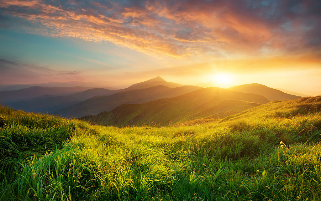 sunset in forest